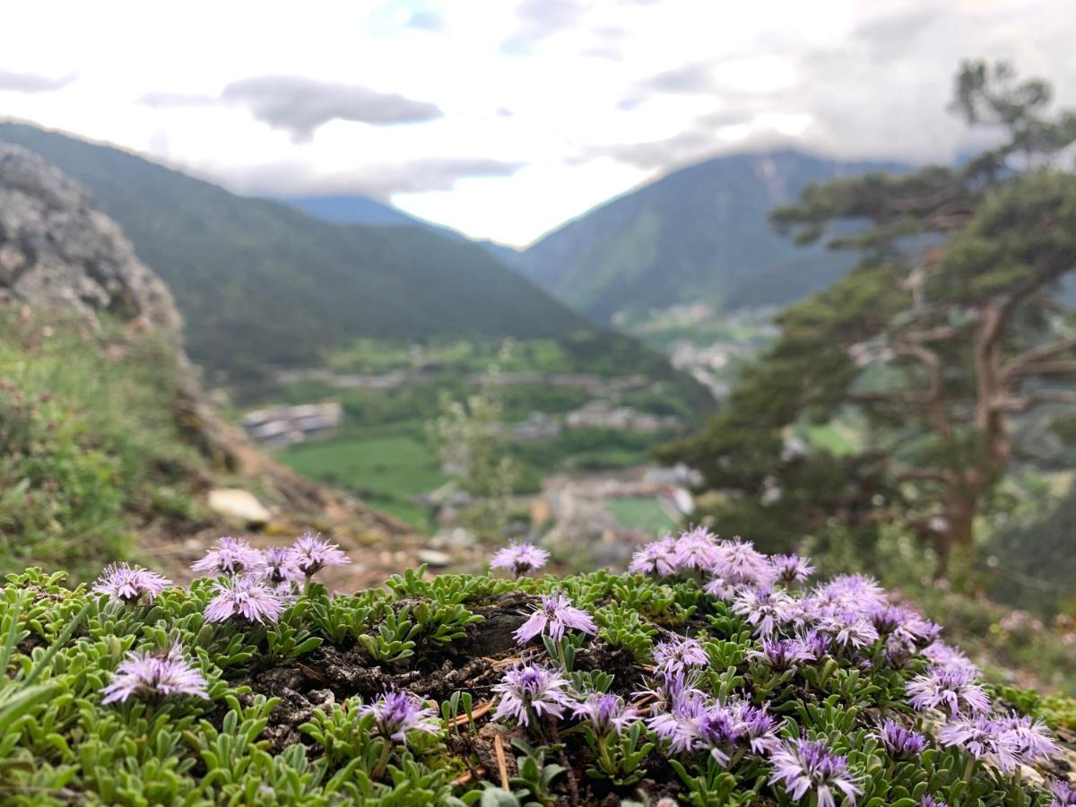 Passamane Pb - Canillo - Casco Antiguo Екстер'єр фото